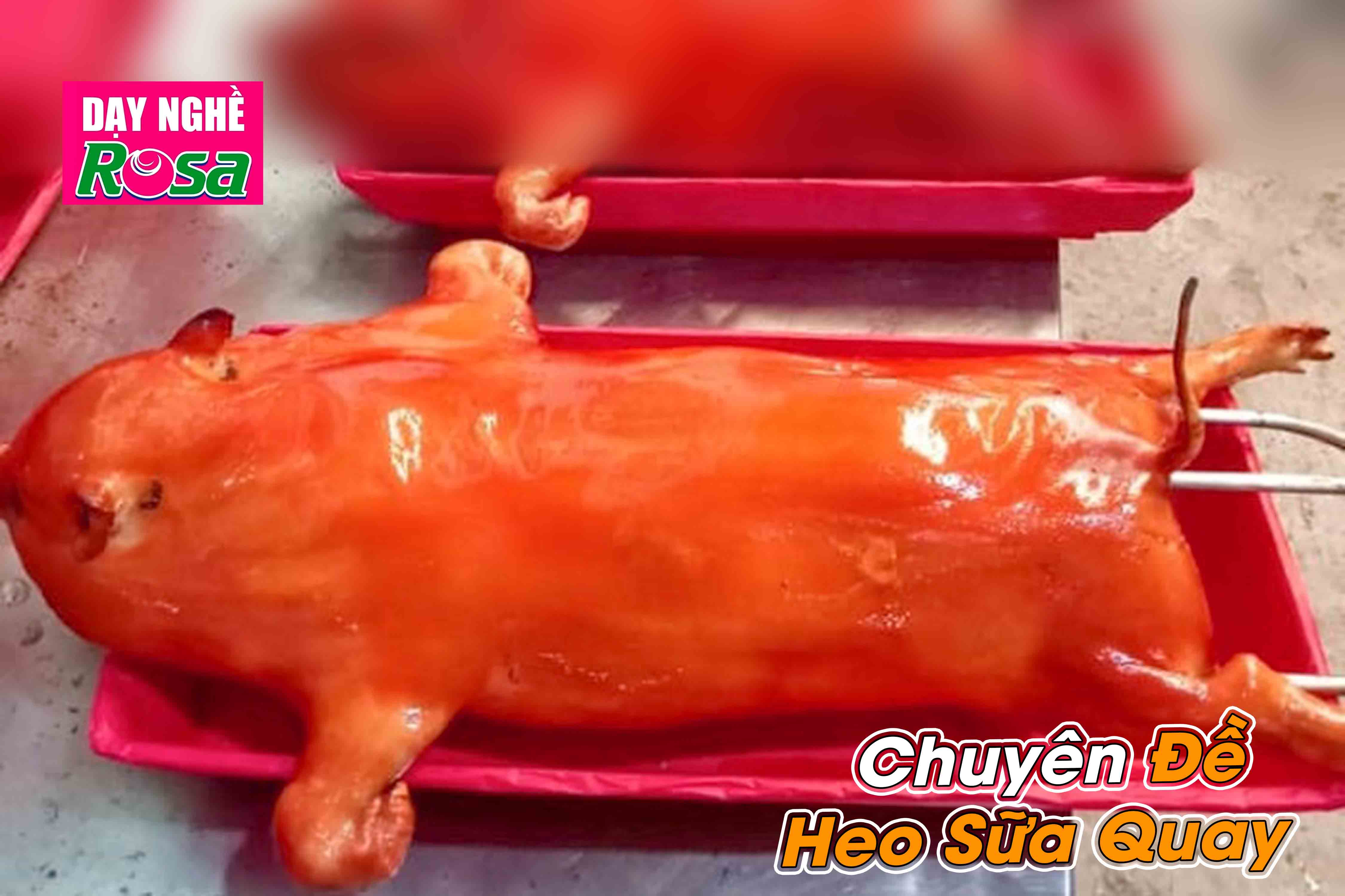 Chuyên Đề Học Làm Heo Sữa Quay Thơm Ngon Chuẩn Vị Giòn Tan - Mở Quán Kinh Doanh PVN712