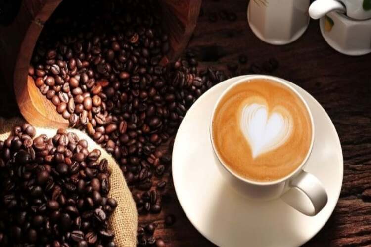 Workshop Học Espresso Nóng: Kỹ Thuật ĐÁNH SỮA TẠO BỌT BẰNG TAY & MÁY. Tạo Hình Cà Phê Bọt Sữa Ý (Latte Art) Vẽ Bằng Socola, Bột Cacao Rắc Hình PVN1298
