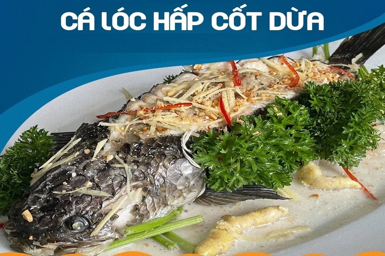 Workshop Học Làm Cá Diêu Hồng Chiên Xù Sốt Tam Vị + Cá Lóc Hấp Cốt Dừa PVN1345