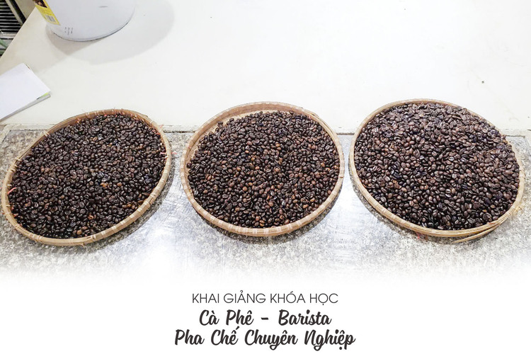 Workshop Học Tổng Quát Về Cà Phê, Phương Pháp Rang Xay Cà Phê, Phương Pháp Thử Nếm & Cảm Quan Cơ Bản Về Cà Phê PVN370