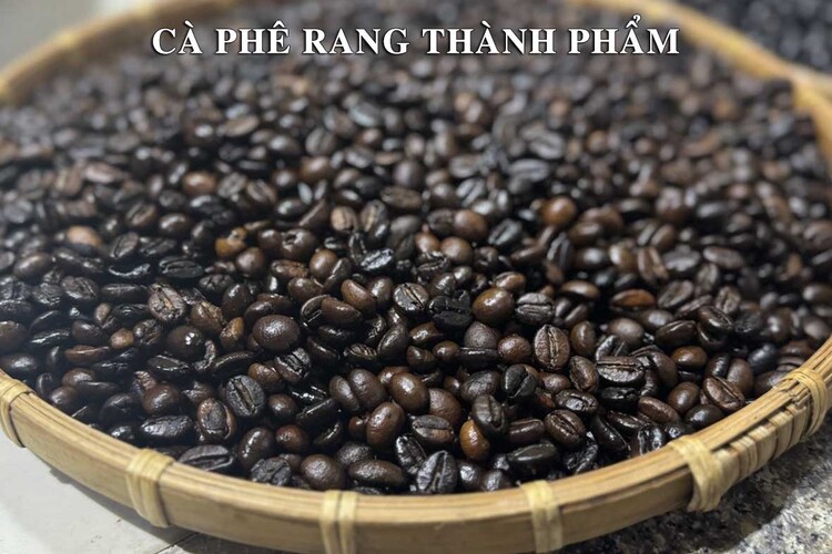 Workshop Học Tổng Quát Về Cà Phê, Phương Pháp Rang Xay Cà Phê, Phương Pháp Thử Nếm & Cảm Quan Cơ Bản Về Cà Phê PVN370