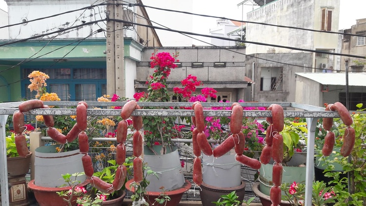 Video Online học làm XÚC XÍCH, LẠP XƯỞNG tươi, sạch kinh doanh (Sausage, Lap cheong, Chinese sausage)  PVN308