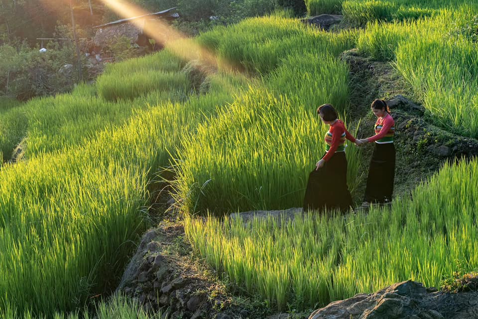 Trekking Pu Luong - Pu Luong tour 3 days 2 nights