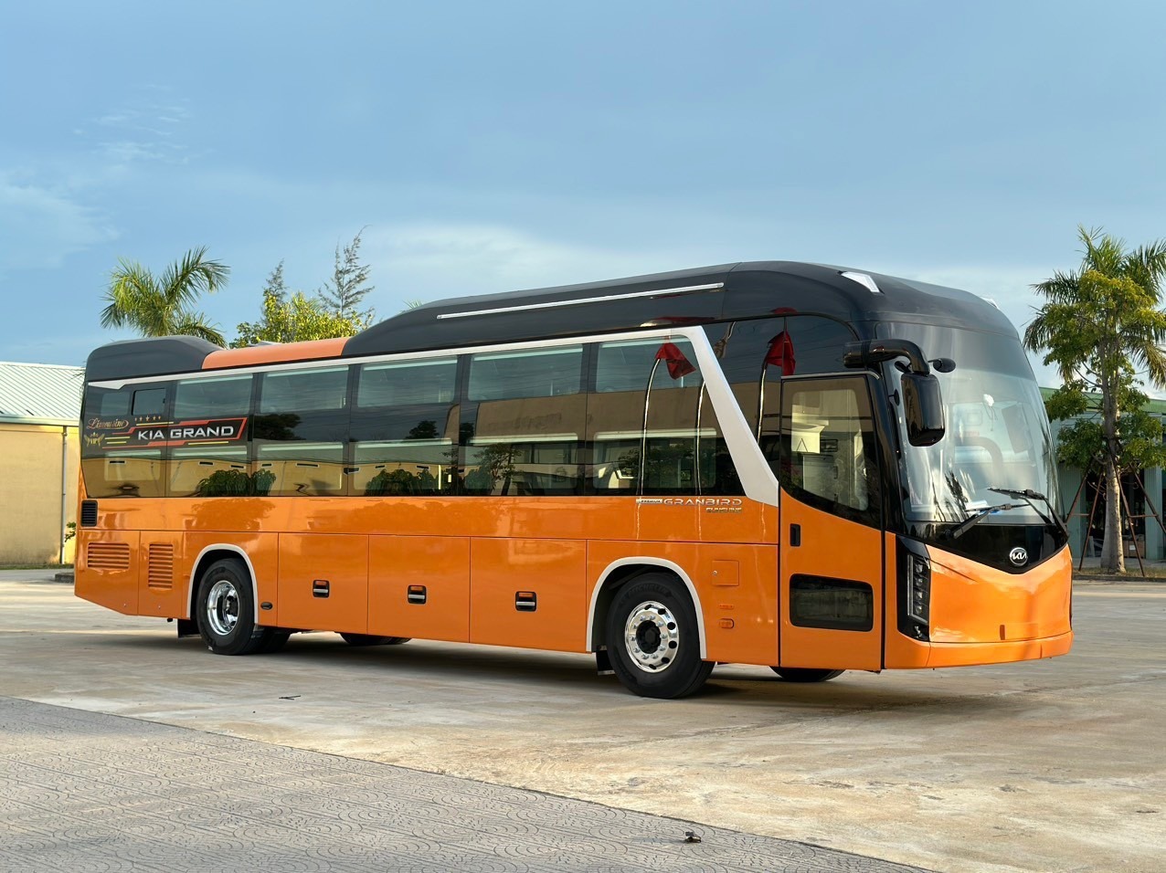 Da Nang to Cat Ba Bus | VIP 24-Seater Cabin + Shared Limousine from Da Nang to Hue
