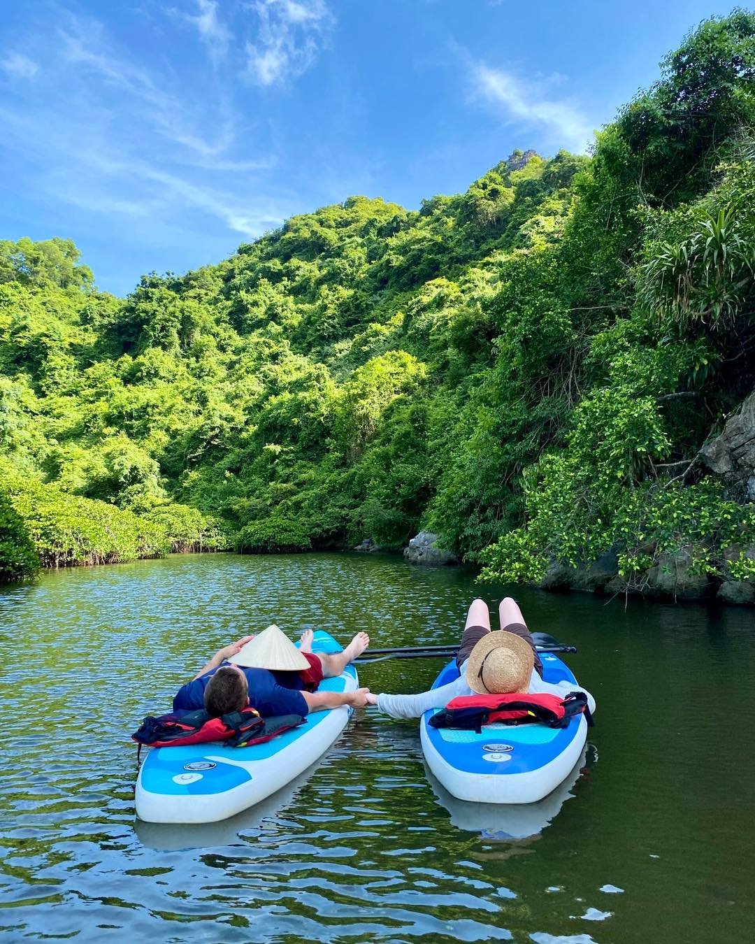 Cat Ba Mangrove Forest One-Day Tour