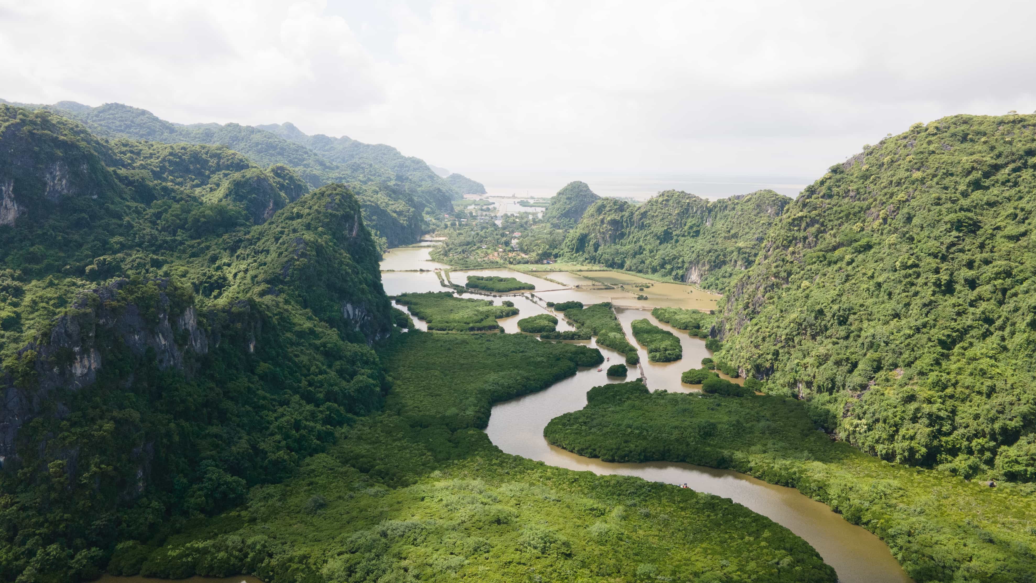Cat Ba Mangrove Forest One-Day Tour