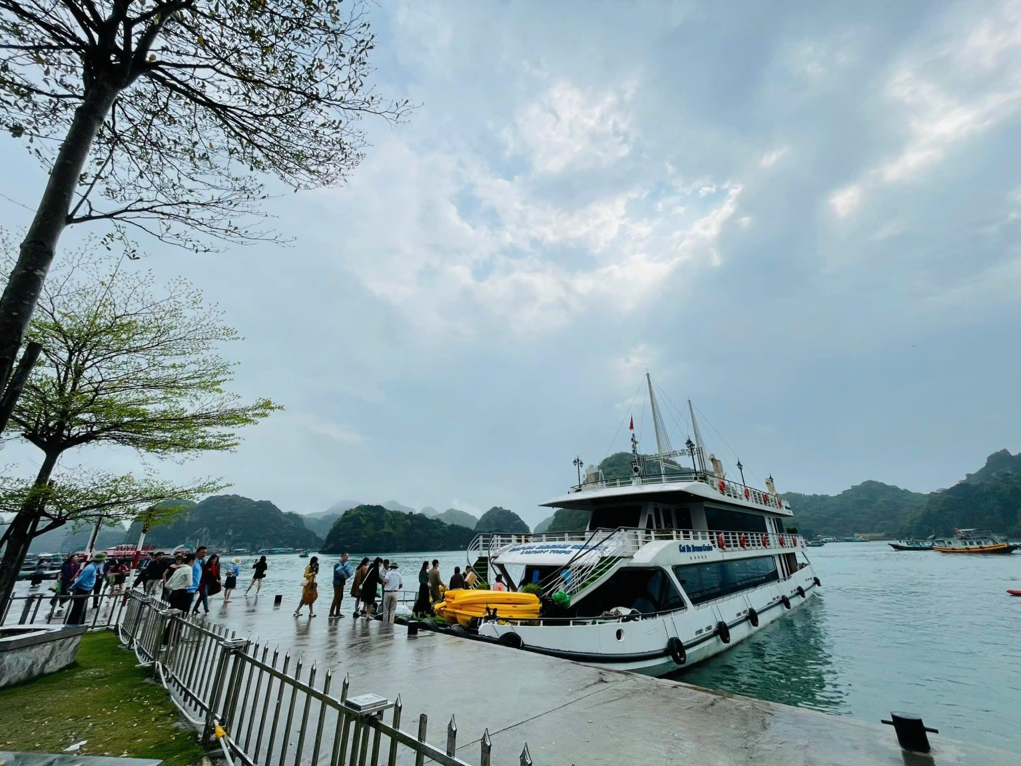Lan Ha Bay full day tour - Cat Ba Dream Cruise 5-star
