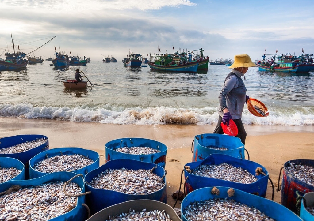 3 ISLANDS TOUR: Hon Mun - The Fishing Village - Mini Beach (lunch included)