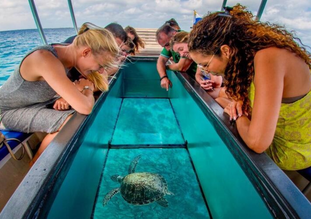 Nha Trang Tour - Sheep Meadow – Hy Bay – Grape Garden – Hang Rai (lunch included)