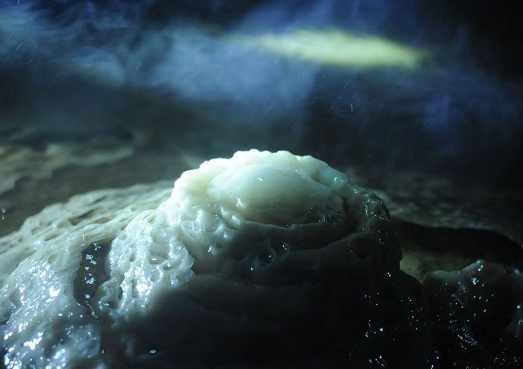 Quang Binh Tour 3 Days 2 Nights: Phong Nha Cave - Dark Cave - Paradise Cave - Mooc Spring