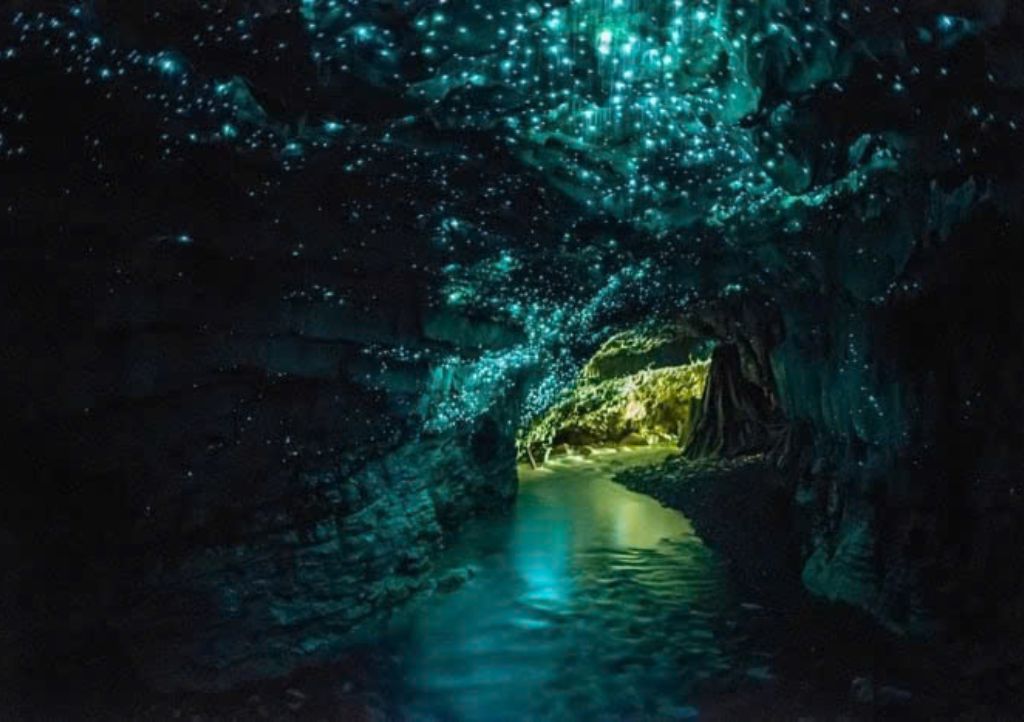 Quang Binh Day Tour: Discover Phong Nha Cave and Ozo Park