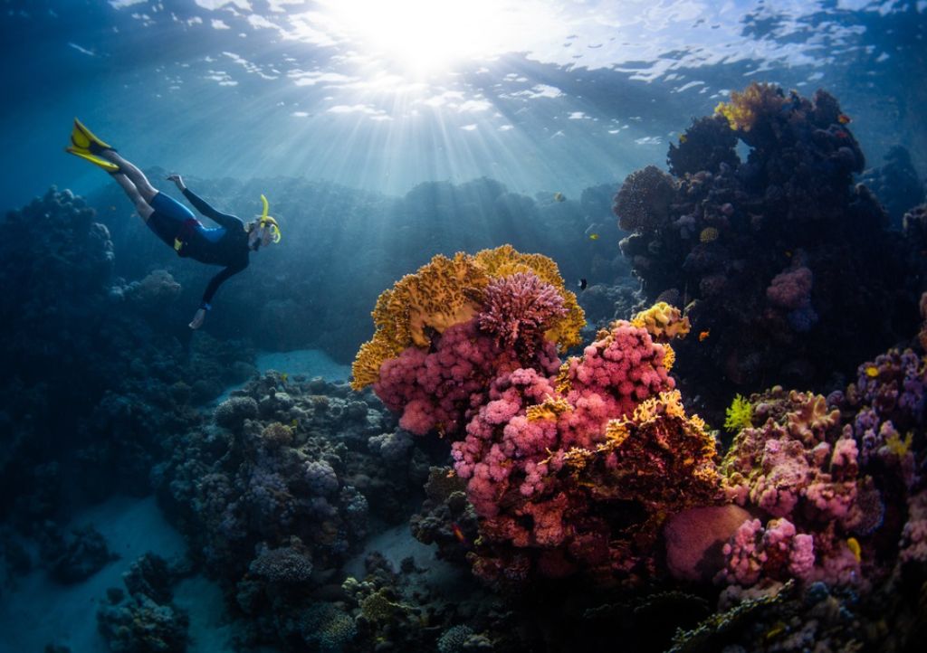 SNORKELING TOUR - Snorkeling (1 time) – Lunch