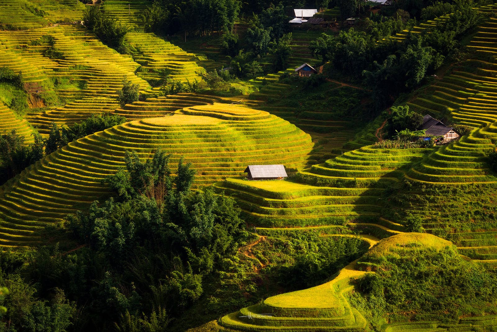 One Day Sapa Hiking Tour: Ta Van - Giang Ta Chai - Su Pan