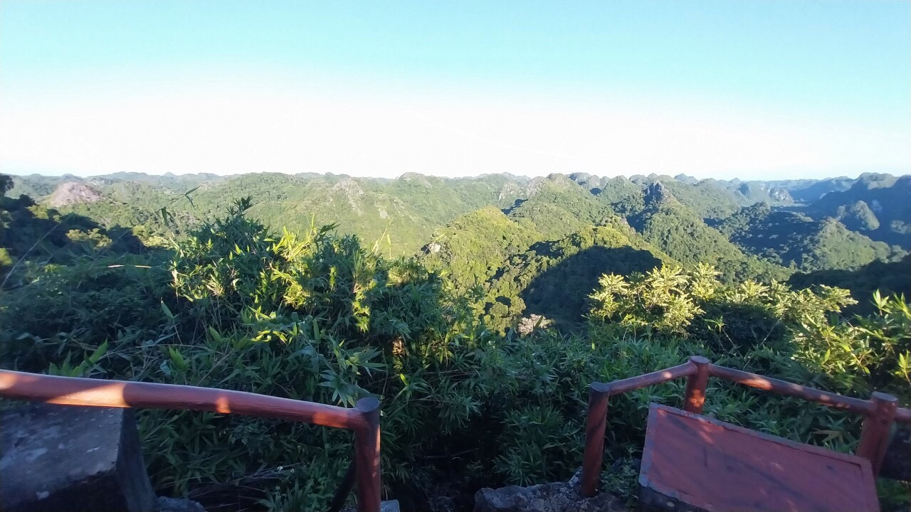 Half-day Discover Cat Ba National Park | Quan Y Cave + Trung Trang Cave