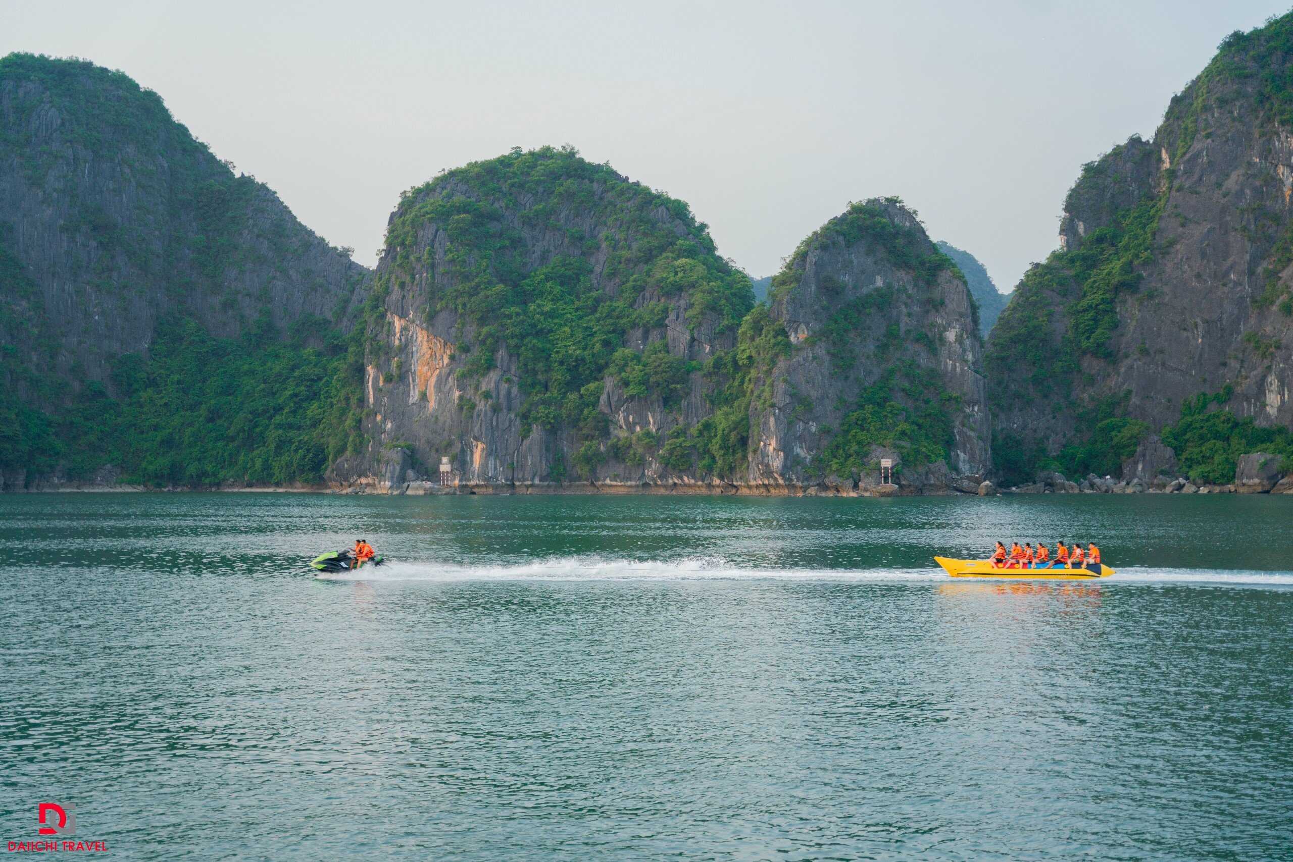 One Day Trekking Cat Ba National Park | Departure from Hanoi
