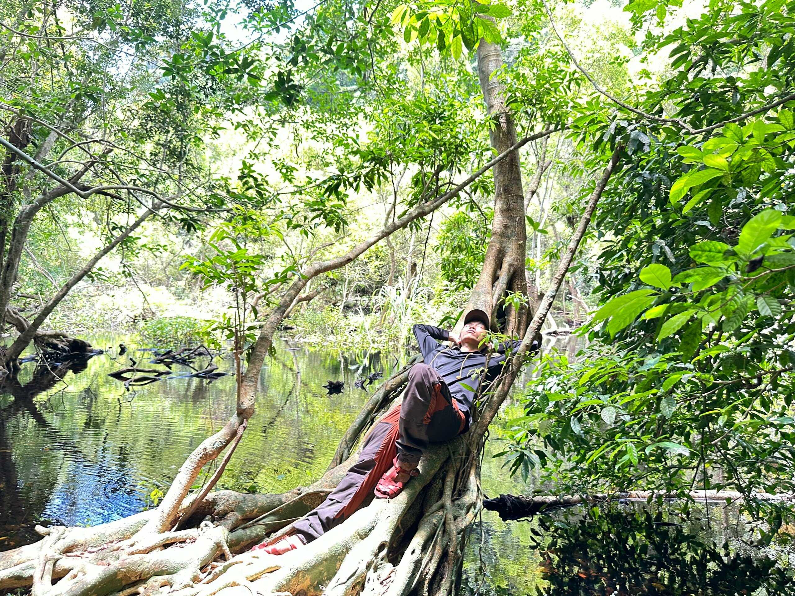 One Day Trekking Cat Ba National Park | Departure from Hanoi