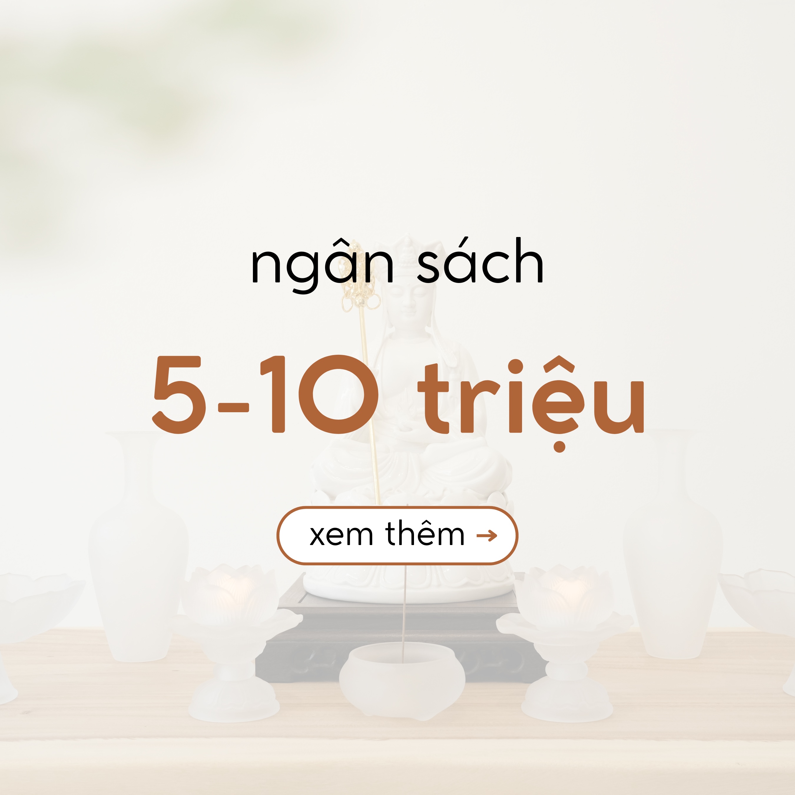Ngân sách 5-10 triệu