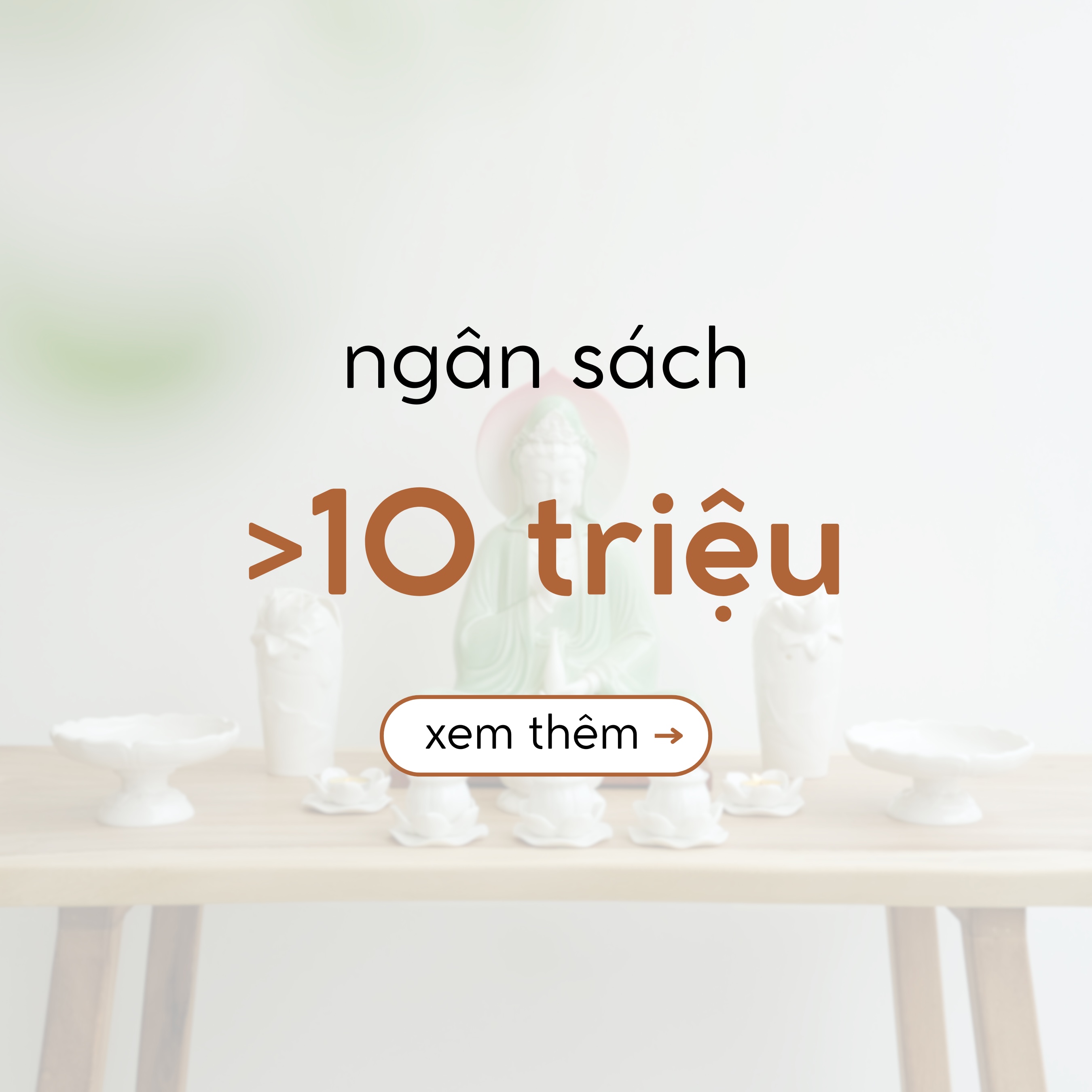 Ngân sách >10 triệu