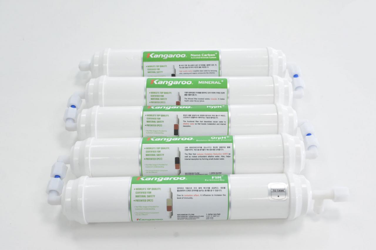 Vì Sao Người Dùng Máy Lọc Nước RO Cần Thay Thế Định Kỳ Lõi Lọc GAC và T33 Chứa Than Hoạt Tính?