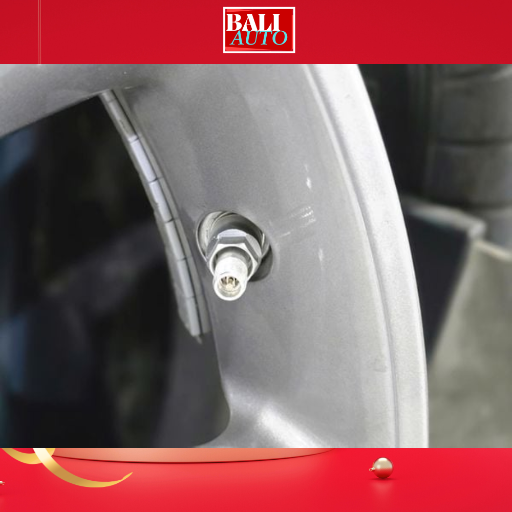 Hệ thống giám sát áp suất lốp năng lượng mặt trời tín hiệu giọng nói TP-MT 11 PRO thế hệ mới