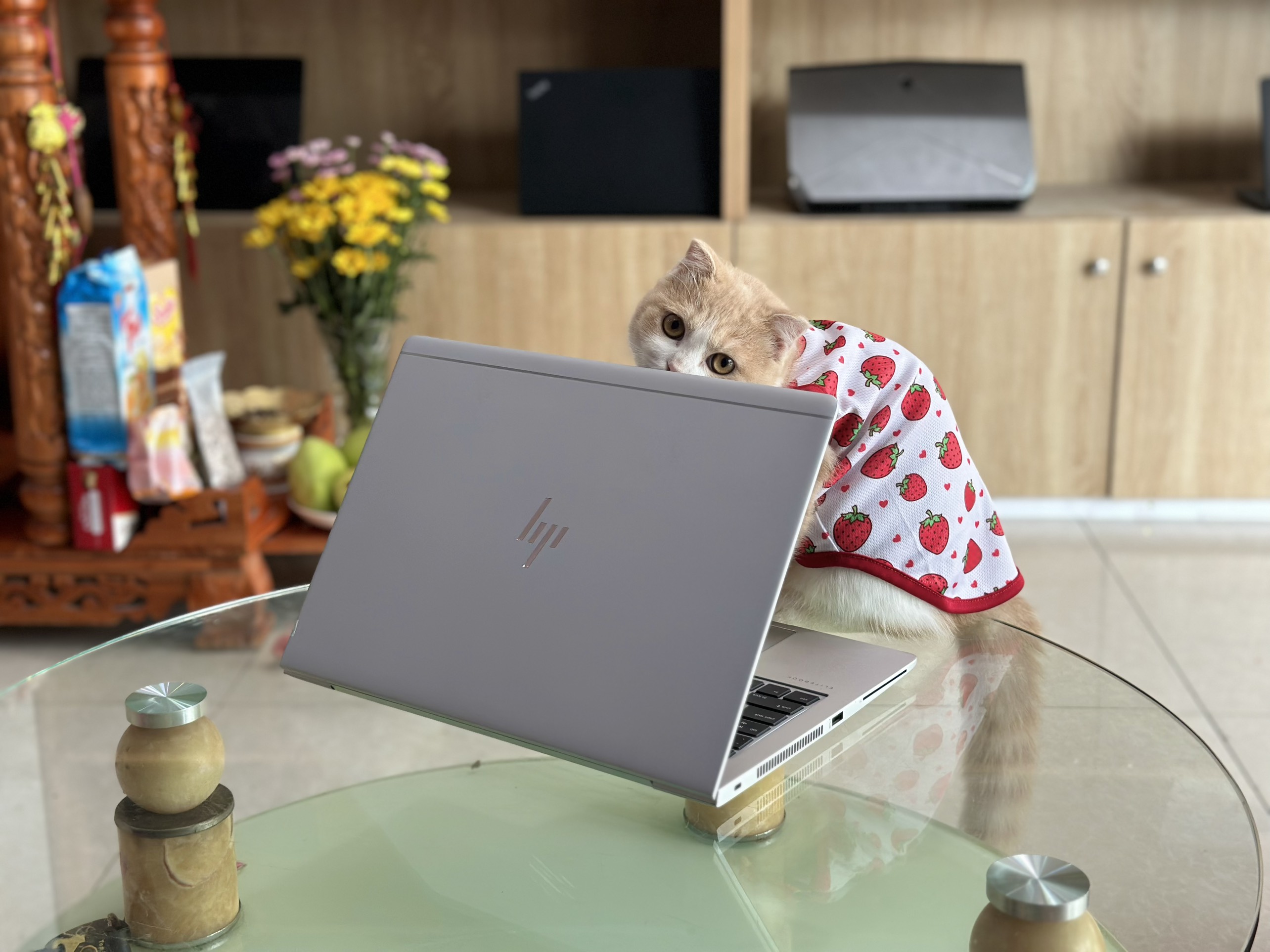 Hp Elitebook 840 G5 i7-8650/8GB/256gb/14"FHD