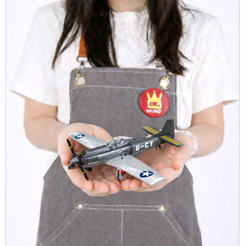 P-51 Mustang Fighter