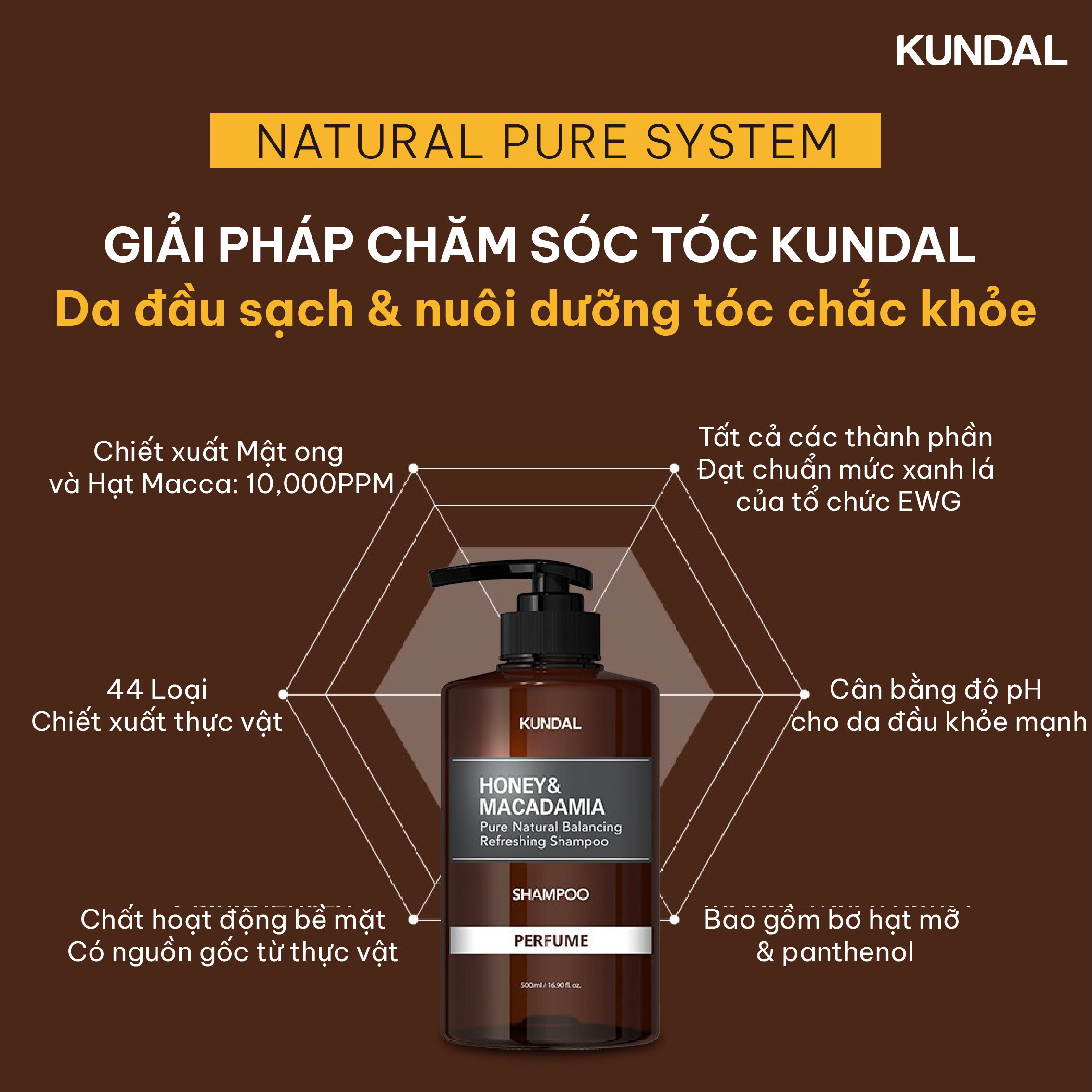 Dầu Gội Cân Bằng Tự Nhiên KUNDAL Honey&Macadamia 500ml