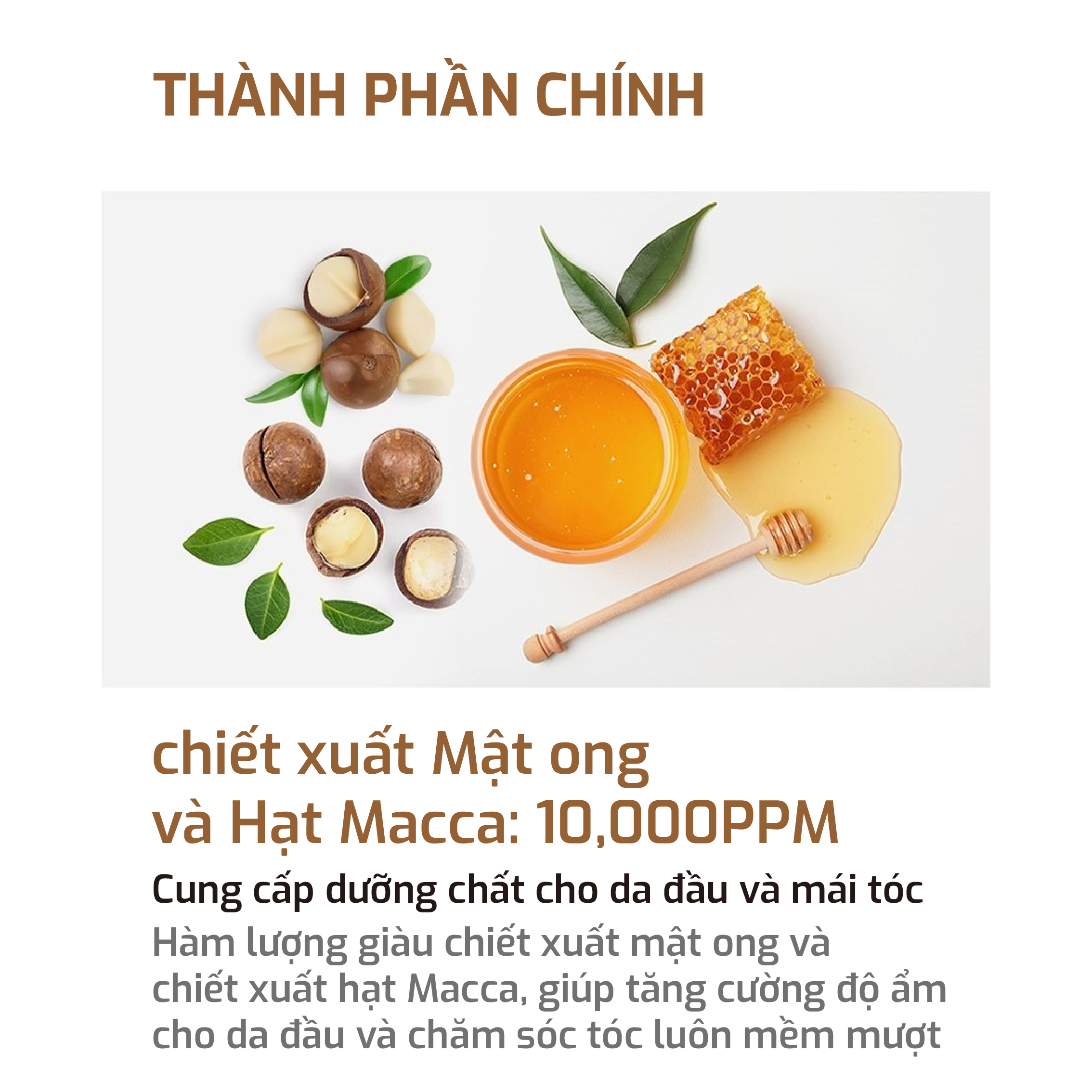 Dầu Gội Cân Bằng Tự Nhiên KUNDAL Honey&Macadamia 500ml