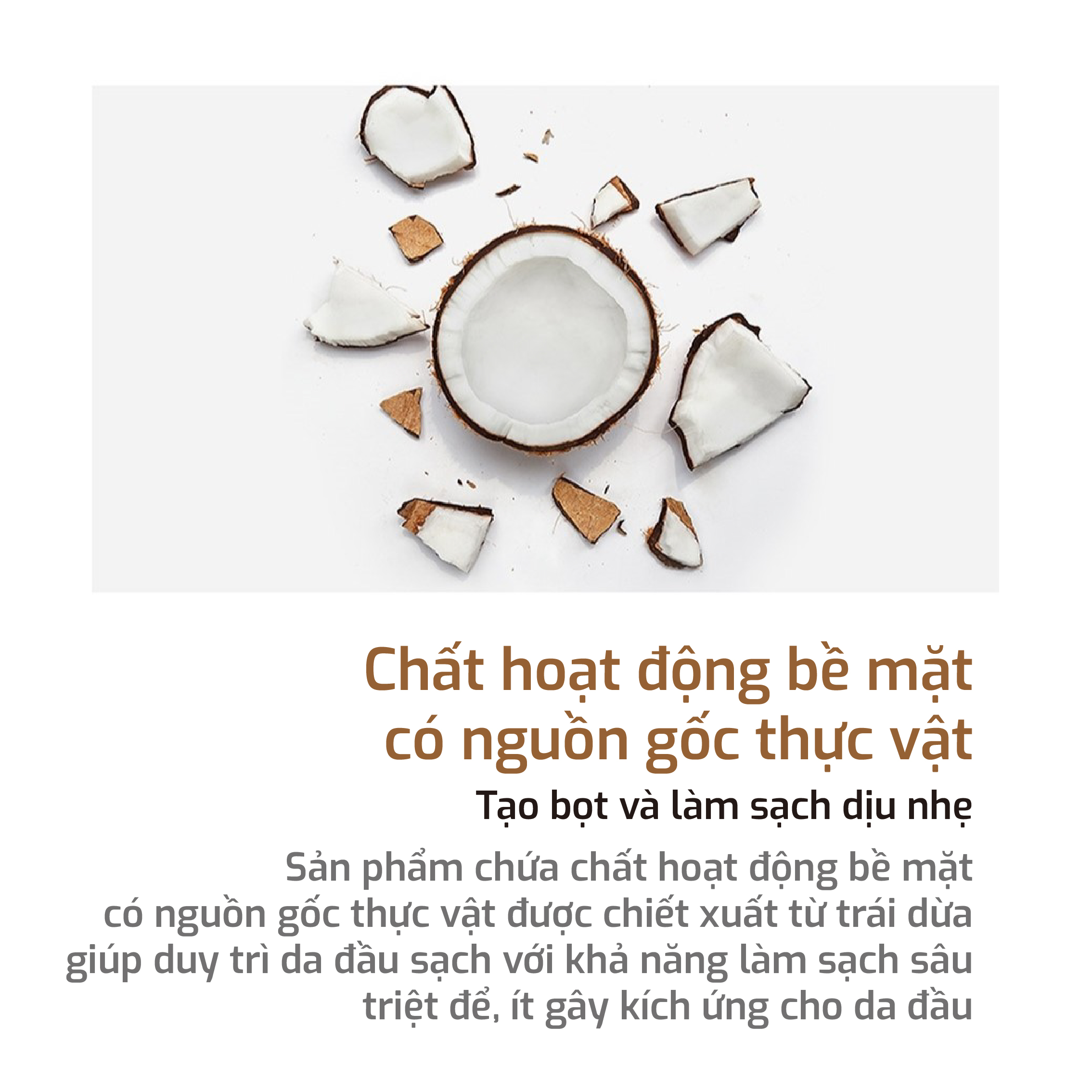 Dầu Gội Cân Bằng Tự Nhiên KUNDAL Honey&Macadamia 500ml