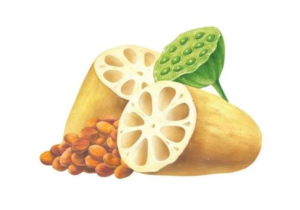 Hồng Sâm Củ Sen