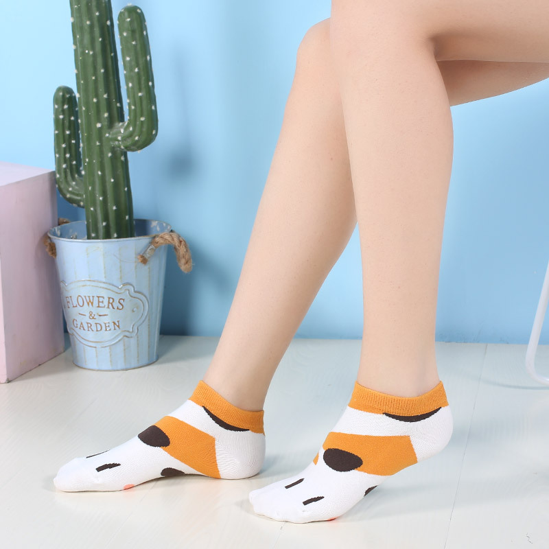 Tất cổ thuyền chân mèo