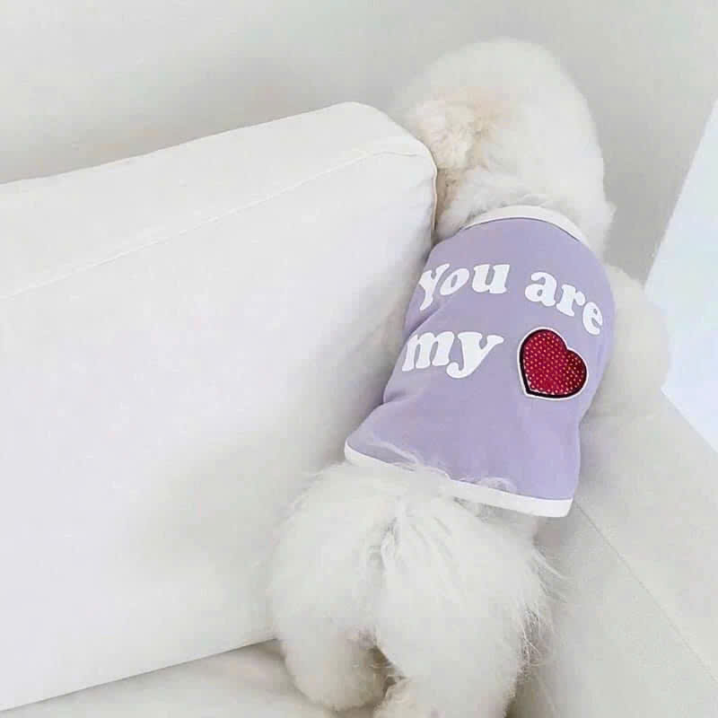 Áo ba lỗ cho thú cưng "You are my"