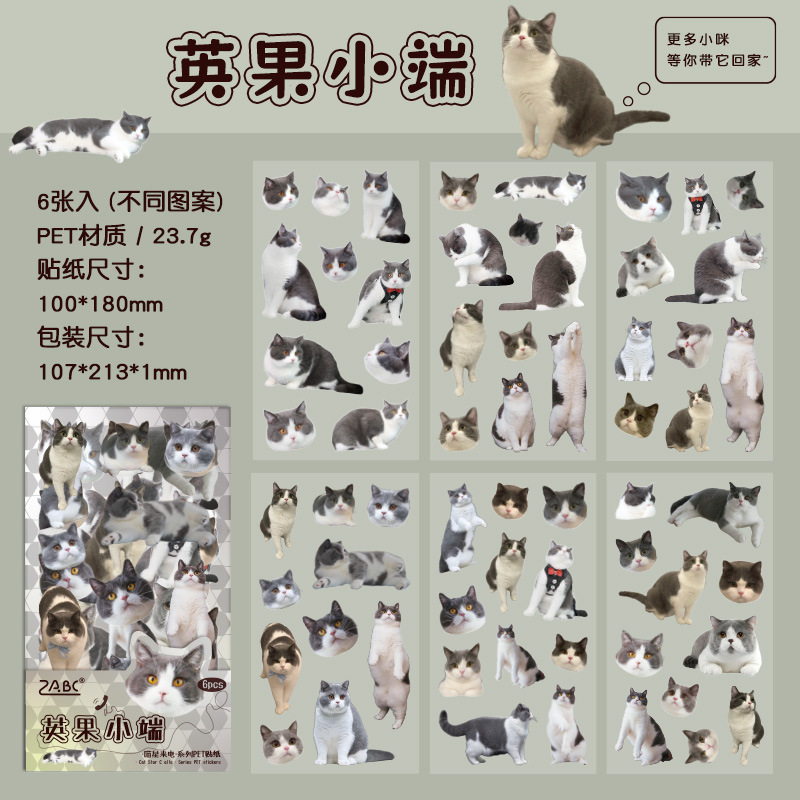 Bộ sticker chống nước hình các giống mèo