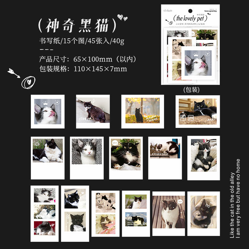 Bộ Polaroid hình mèo