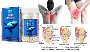 Sụn vi cá mập Blue Sharp Cartilage 750mg 365 viên