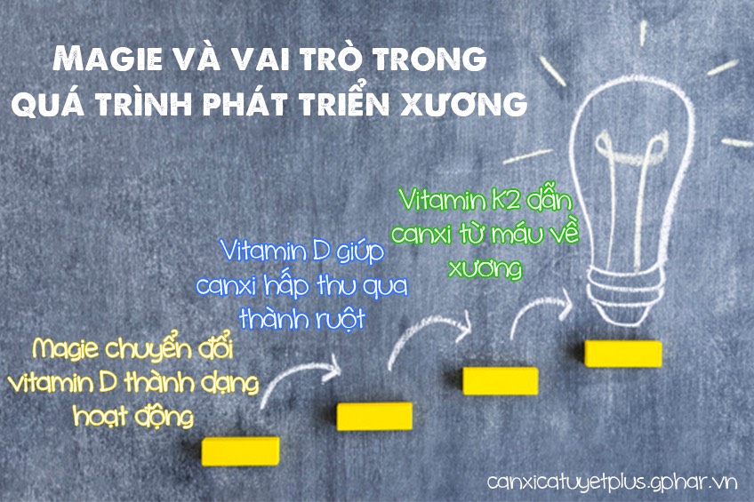 Calcium Magnesium Complex Unicity của Mỹ- Bổ sung canxi magiê chăm sóc xương khớp chắc khỏe