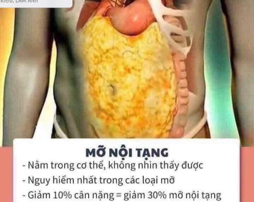 Bios Life Slim Unicity ( mẫu mới 2024) kiểm soát cân nặng khoa học (60 gói)