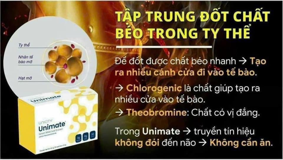 Unimate Chanh Gừng Unicity- Nước Uống Chăm Sóc Não Bộ, Bổ Sung Năng Lượng, Hỗ Trợ Đốt Mỡ 30 gói