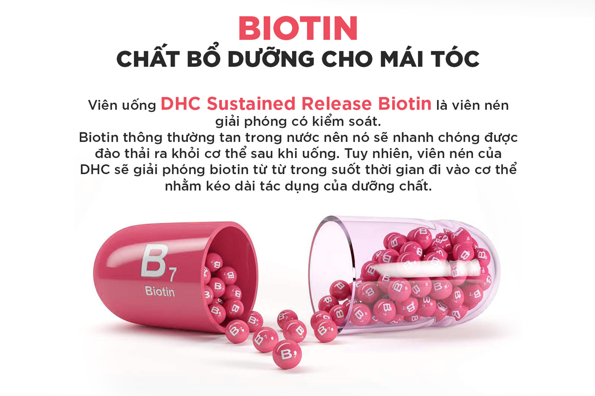 DHC Combo Kích Mọc Tóc 60 Ngày Nhật Bản ( DHC Kẽm 60viên, DHC Biotin 60 viên)