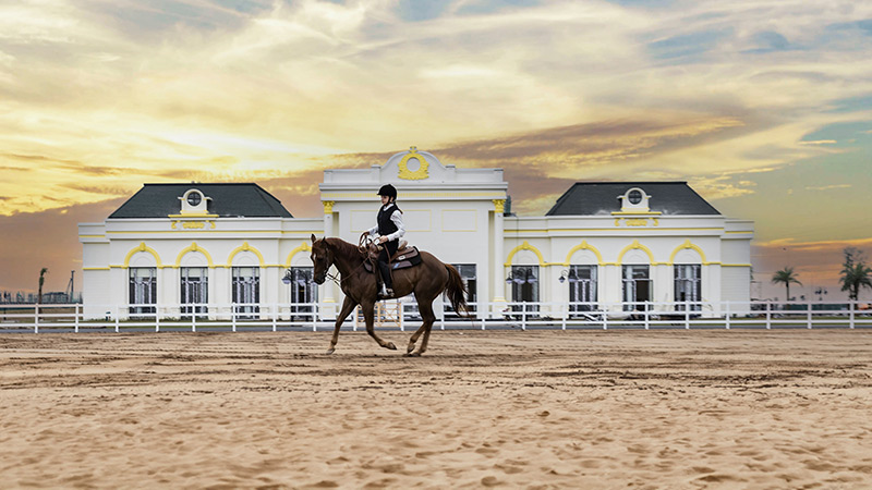 Học viện cưỡi ngựa Vinhomes Royal Island