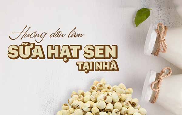 Hướng dẫn cách làm sữa hạt sen ngon mê ly ngay tại nhà