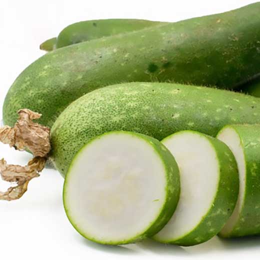 Bí đao