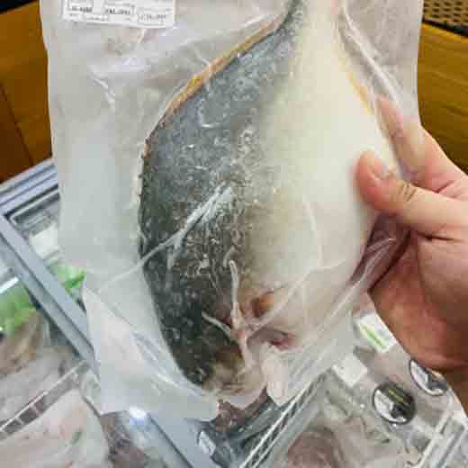 Cá chim trắng