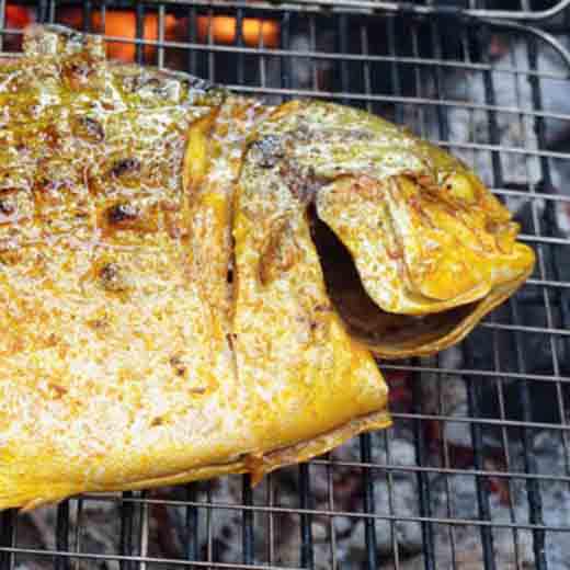 Cá chim trắng