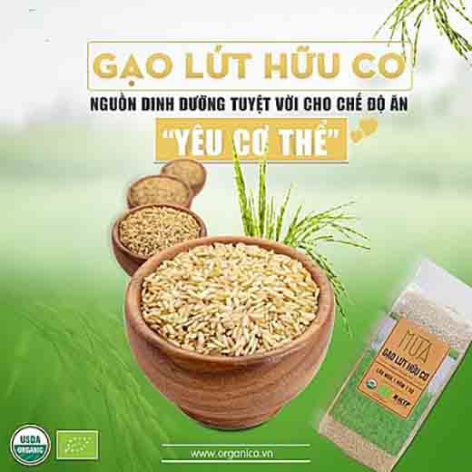 Gạo lứt hữu cơ