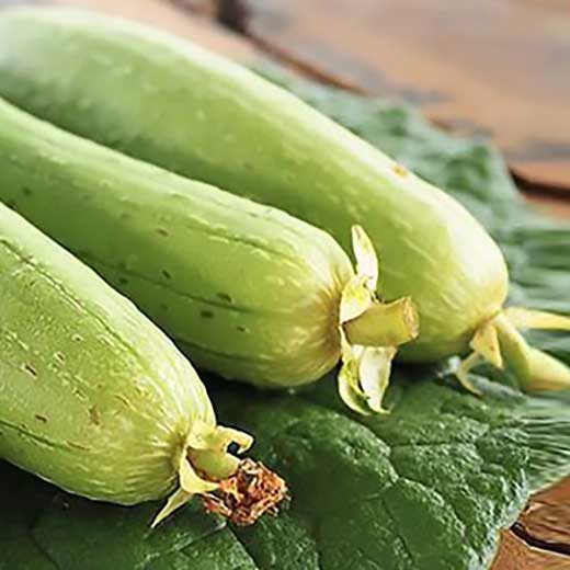 Mướp hưu cơ