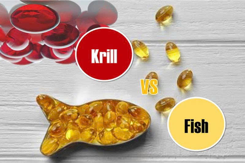 Dầu nhuyễn thể Omega 3 và dầu cá Omega 3: Nên chọn loại nào tốt hơn?