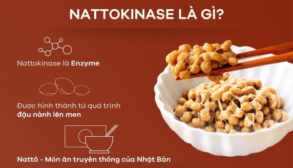 Nattokinase Là Gì? Công Dụng Và Ai Không Nên Dùng Nattokinase