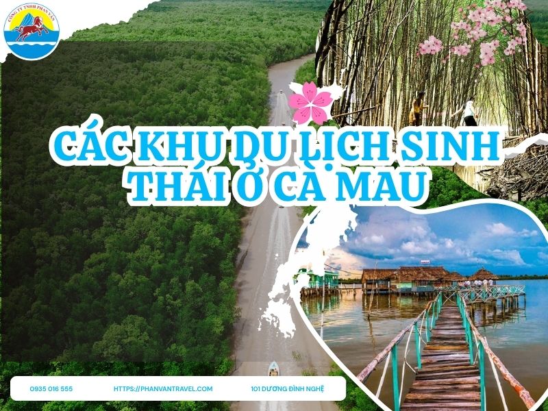 Checklist Các Khu Du Lịch Sinh Thái Ở Cà Mau Hấp Dẫn Nhất 2025