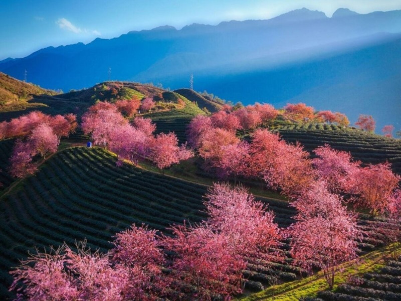 Chia Sẻ Tour Du Lịch Sapa 4 Ngày 3 Đêm Trọn Gói